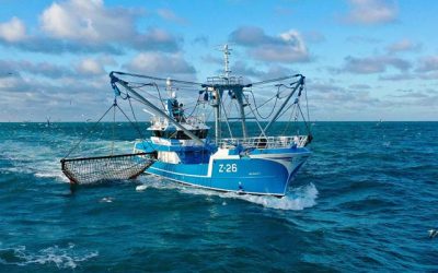 DUTCH YARD HANDS OVER EFFICIENT TRAWLER