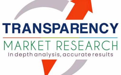 LNG BUNKER MARKET TO GROW BY 60%-PLUS BY 2031