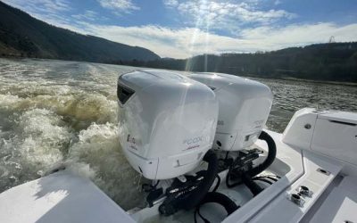 DIESEL OUTBOARD WINS BODENSEE CERTIFICATION FOR TWIN INSTALLATION