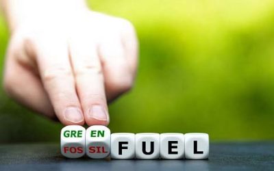 INTERNATIONAL DECARBONISATION PLATFORM TO BE ESTABLISHED