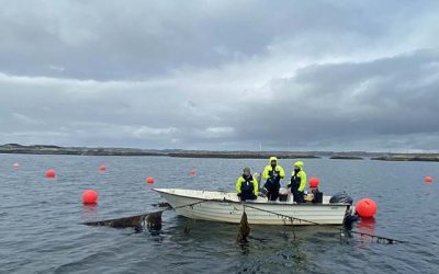 NORWEGIAN PROJECT LOOKS TO SEAWEED FOR CARBON CAPTURE AT SEA
