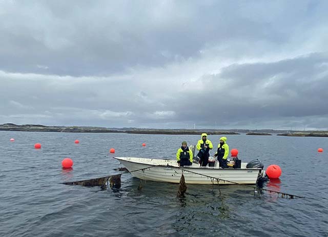 DNV Seaweed Carbon Capture project