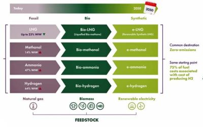 SEA-LNG COMPARES FUTURE FUEL OPTIONS