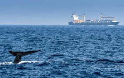 SSI JOINS MAERSK SUSTAINABILITY PARTNERSHIP