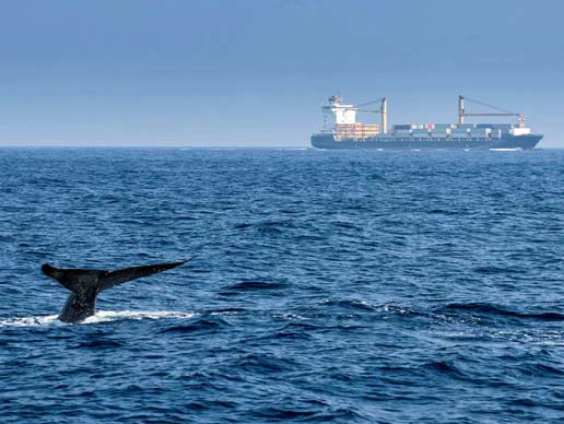 ssi-mmc sustainable shipping