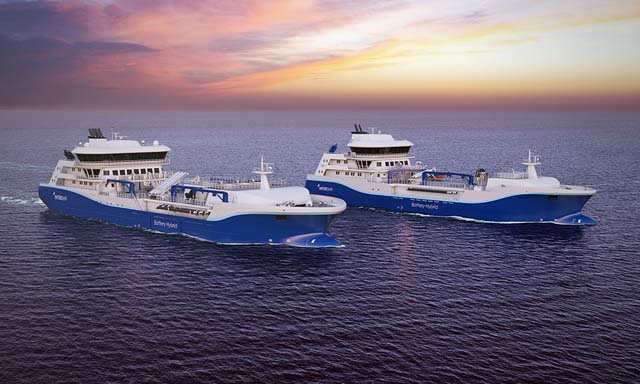 Salt Ship Design hybrid fish carriers