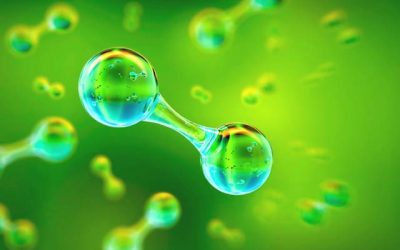 BUREAU VERITAS LAYS OUT WELL-TO-WAKE APPROACH TO ALTERNATIVE FUELS