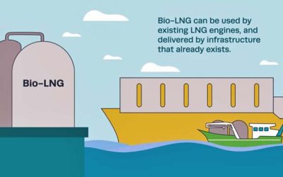 BIO LNG IS AVAILABLE, BUT NEEDS REGULATORY FRAMEWORK, SAYS SEA-LNG