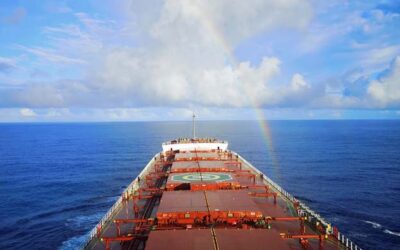 INTERCARGO SAYS CII IS NOT THE ANSWER