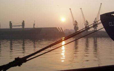 DENMARK ENDORSES EU SUPPORT FOR GREEN FUELS