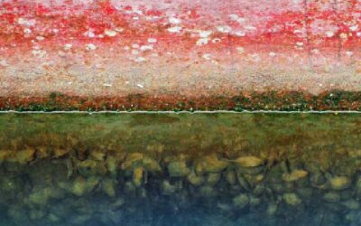 NEW MARINE GROWTH PREVENTION TECHNOLOGIES CUT GHG EMISSIONS