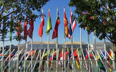 SEA-LNG SAYS IMO MUST REGULATE FOR ALL GHG EMISSIONS