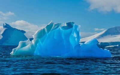 BIO-FUEL SUPPLIER LOOKS AT MEPC80 OUTCOME