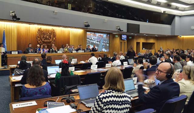 MEPC 80 (IMO from video)