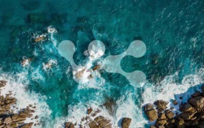 VALUE MARITIME LAUNCHES SHORE-BASED CARBON HANDLING SUBSIDIARY