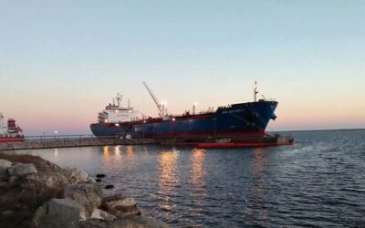 DANISH TANKER COMPANY BUYS INTO BIO-FUELS