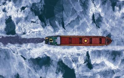 AiP FOR MAN CRYO AMMONIA FUEL SUPPLY SYSTEM