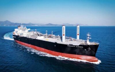 NAPA TO HELP OPTIMISE WIND ASSISTANCE FOR IINO LINES SHIPS