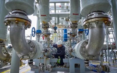 SVANEHØJ PUMPS FOR AMMONIA-FUELLED BULK CARRIERS