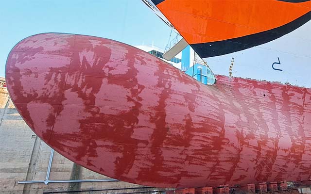 AidaDiva (Nippon Paint)