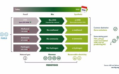 SEA-LNG ENDORSES IMO GHG AGREEMENT