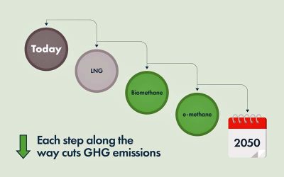 SEA-LNG REVIEWS FUTURE FUEL PATHWAY PROGRESS