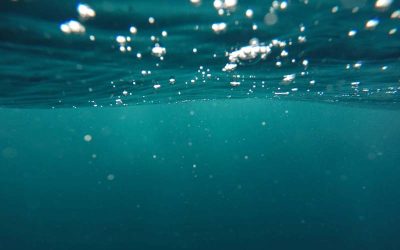 NEW COALITION AIMS TO CUT OCEAN CARBON