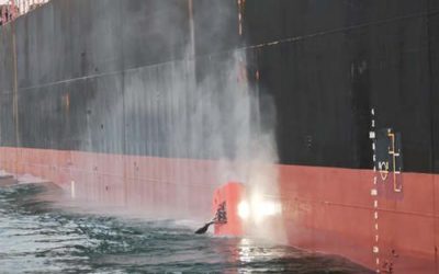 NYK AND NEPTUNE MoU DRIVES DECARBONISATION AND FUEL SAVING