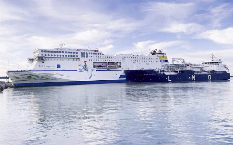 Nils Holgersson (Everllence)